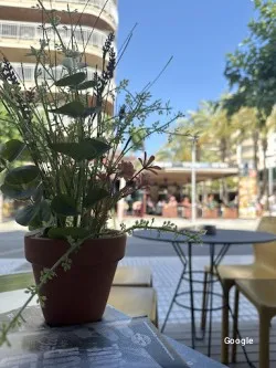 Restaurante Maradona - Salou