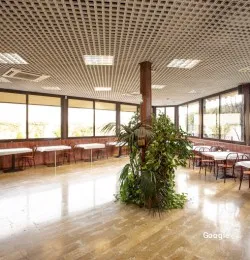 Restaurante Zoquito Campo de las Naciones - Madrid