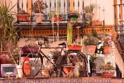 Restaurante Bar La Bicicleteria - Sevilla