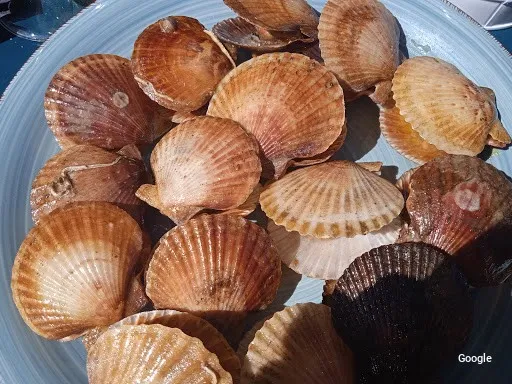 Foto de 4Bis Bistro