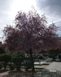 Restaurante El Tapeo de Pinto - Pinto