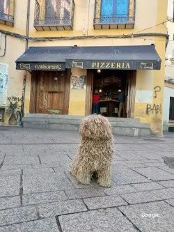 Restaurante La Competencia - León