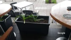 Restaurante El balcón - Vigo