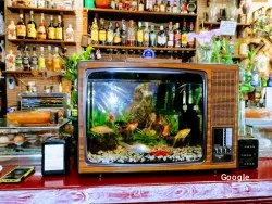 Restaurante Taberna El Bu - Madrid
