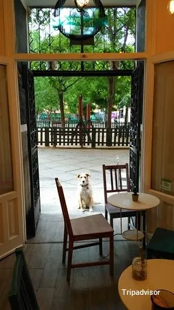 Photo by The Place