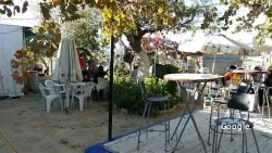 Bar Terraza Rafael, restaurant a Salteras